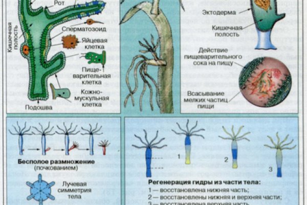 Купить наркотики в москве