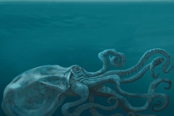 Kraken ссылка зеркало официальный сайт