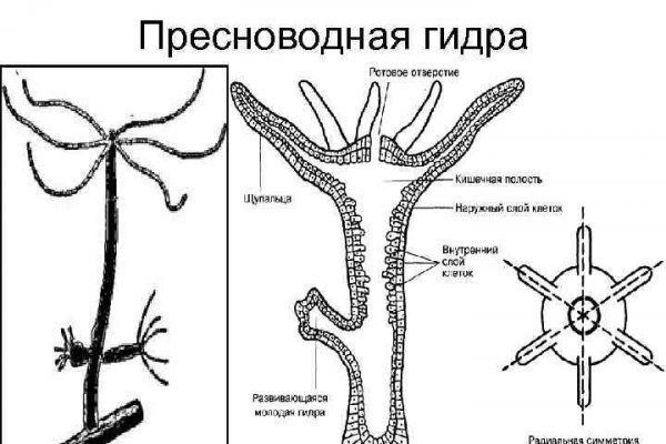 Пользователь не найден кракен даркнет