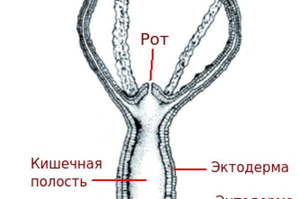 Ссылка на кракен kr2web in