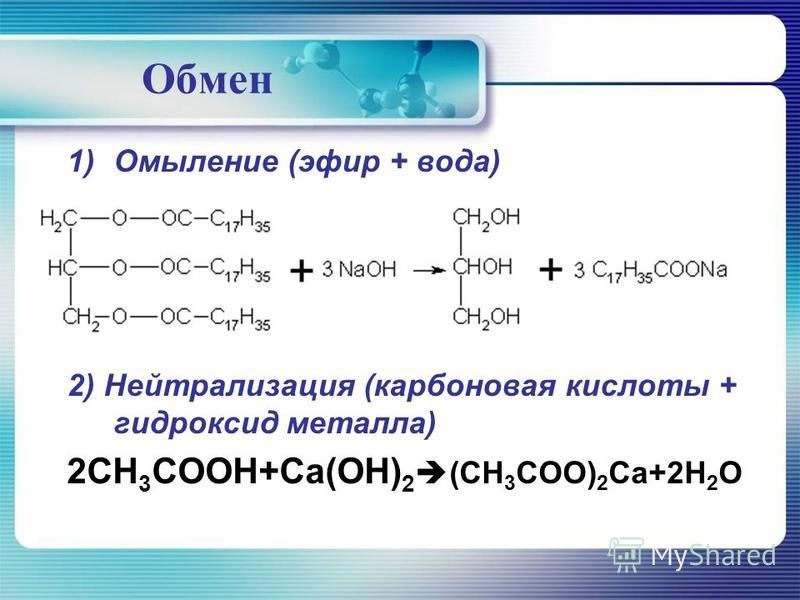 Kraken darknet ссылка тор